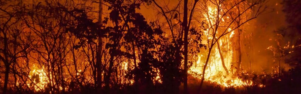 Intensiver Waldbrand bei Nacht mit lodernden Flammen zwischen Bäumen symbolisiert Naturkatastrophe